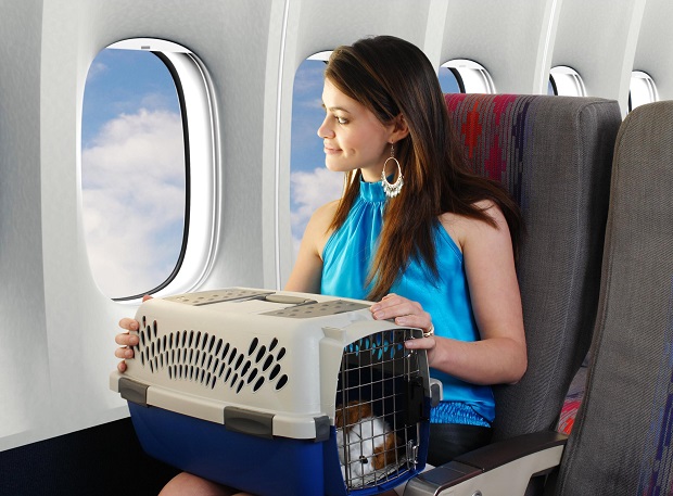 Châu Bùi dằn vặt khi mất chó cưng vì gửi hàng ký gửi trên máy bay về quê ăn Tết - ảnh 4