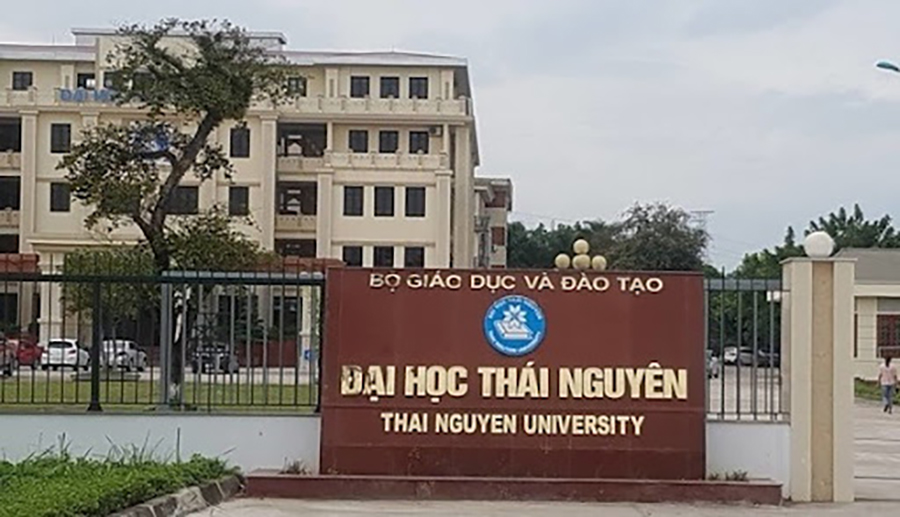 'Đại học' và 'trường Đại học' khác nhau thế nào, Việt Nam hiện có bao nhiêu trường Đại học? - ảnh 6