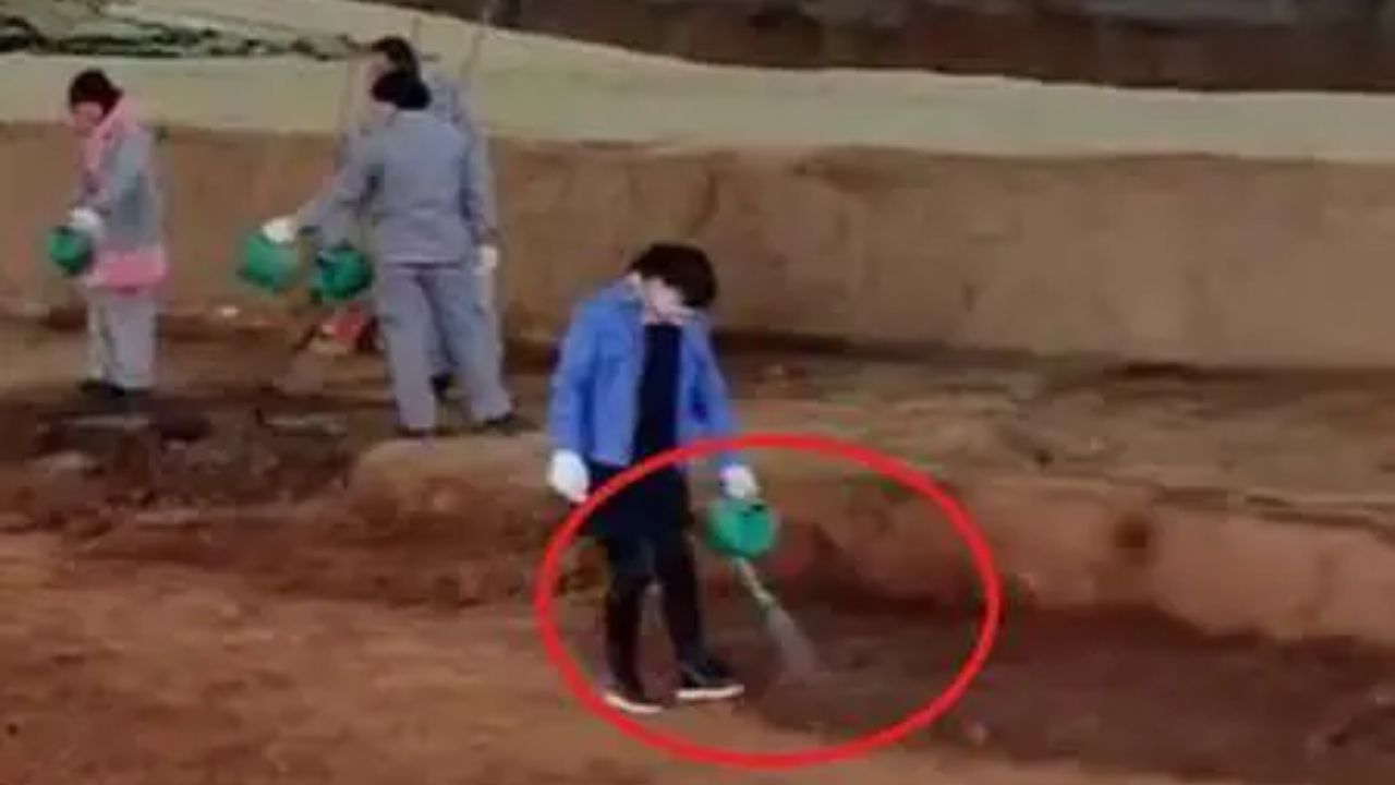 Hình ảnh ghi lại một nhân viên tưới nước trong khu di tích đất nung Tần Thủy Hoàng.