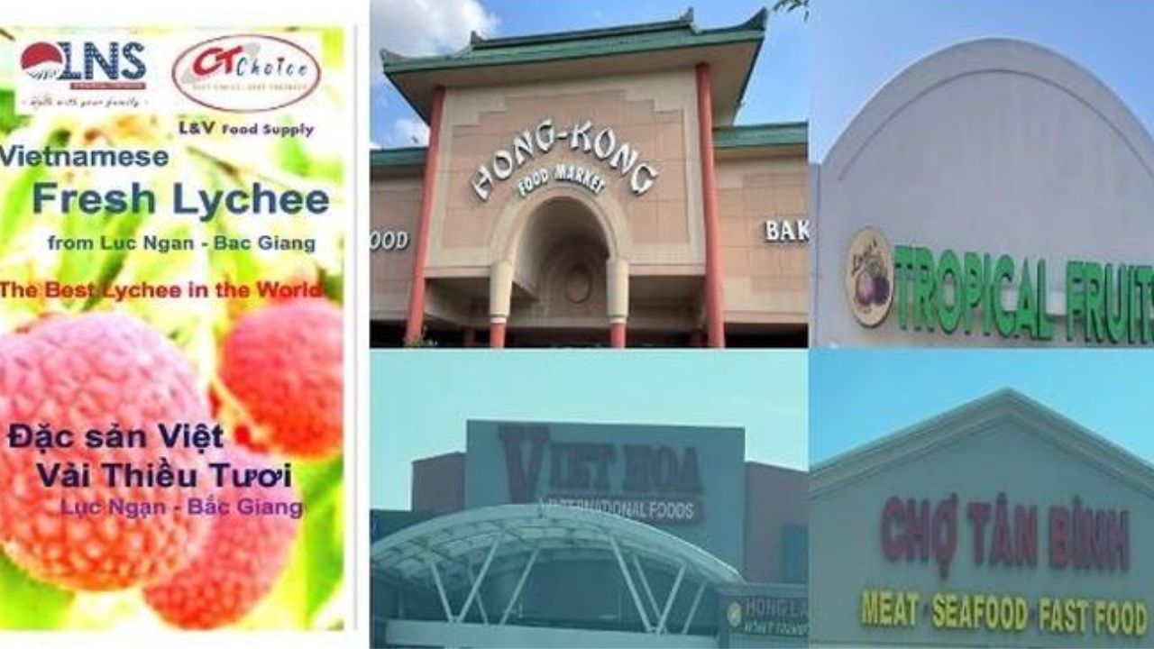 Vải thiều tươi có mặt tại nhiều nơi ở Mỹ.