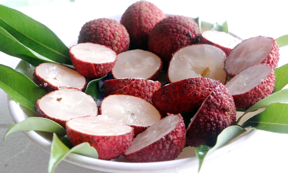 Loại trái cây độc lạ này được dự kiến sẽ xuất khẩu hơn 1000kg sang các nước như Anh và Nhật Bản