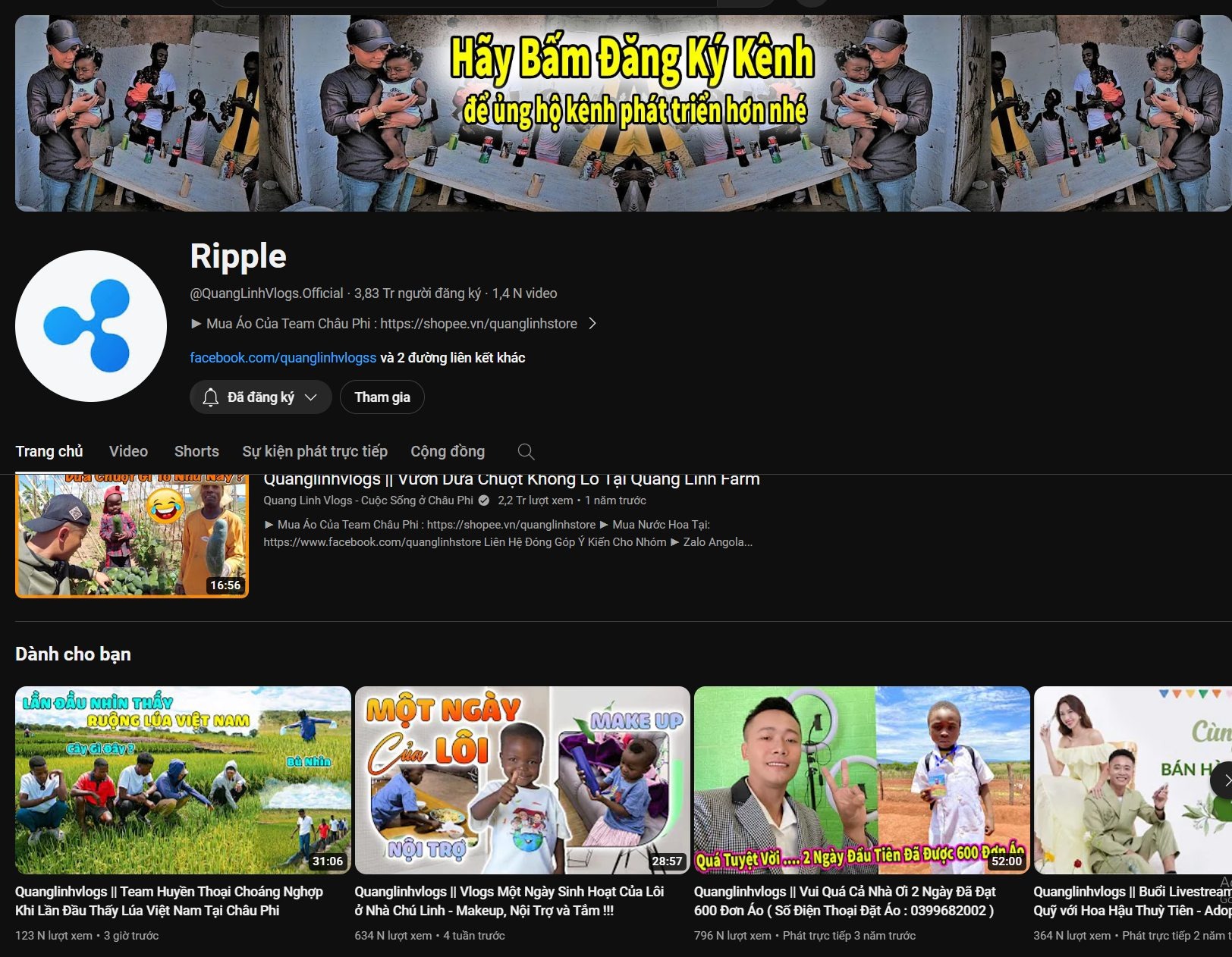 Kênh Youtube gần 4 triệu đăng kỳ của Quang Linh bị hack, đổi tên thành 'Ripple'