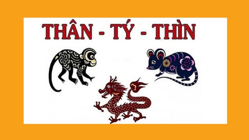 tam-tai-la-gi-cach-xep-ban-cung-giai-han-tam-tai (3)