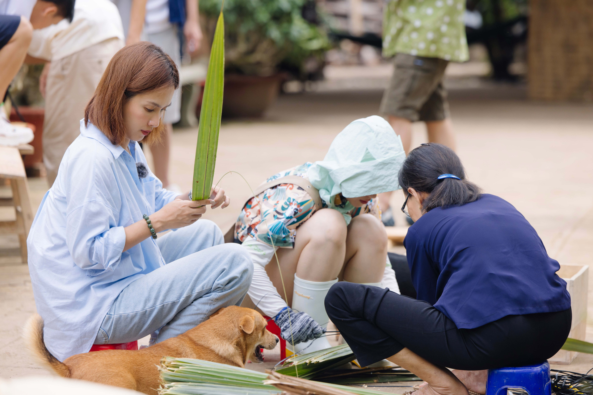 'Gia Đình Haha' tập 9: Ái Phương gia nhập và những trải nghiệm đáng nhớ với nghề nuôi ong - ảnh 3