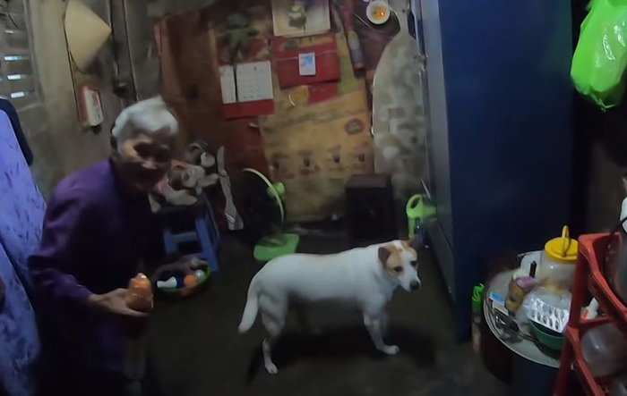 Cụ bà 80 tuổi nhặt ve chai sống một mình gây sốt với câu chuyện nuôi chó bằng nước yến - ảnh 4