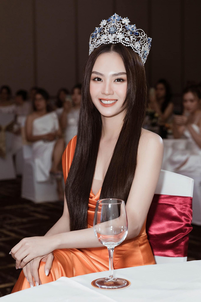 'Sốc' trước kỷ lục 11 hoa hậu đăng quang tại Việt Nam năm 2022: Người khen hết lời, người 'dính phốt' liên tiếp - ảnh 6