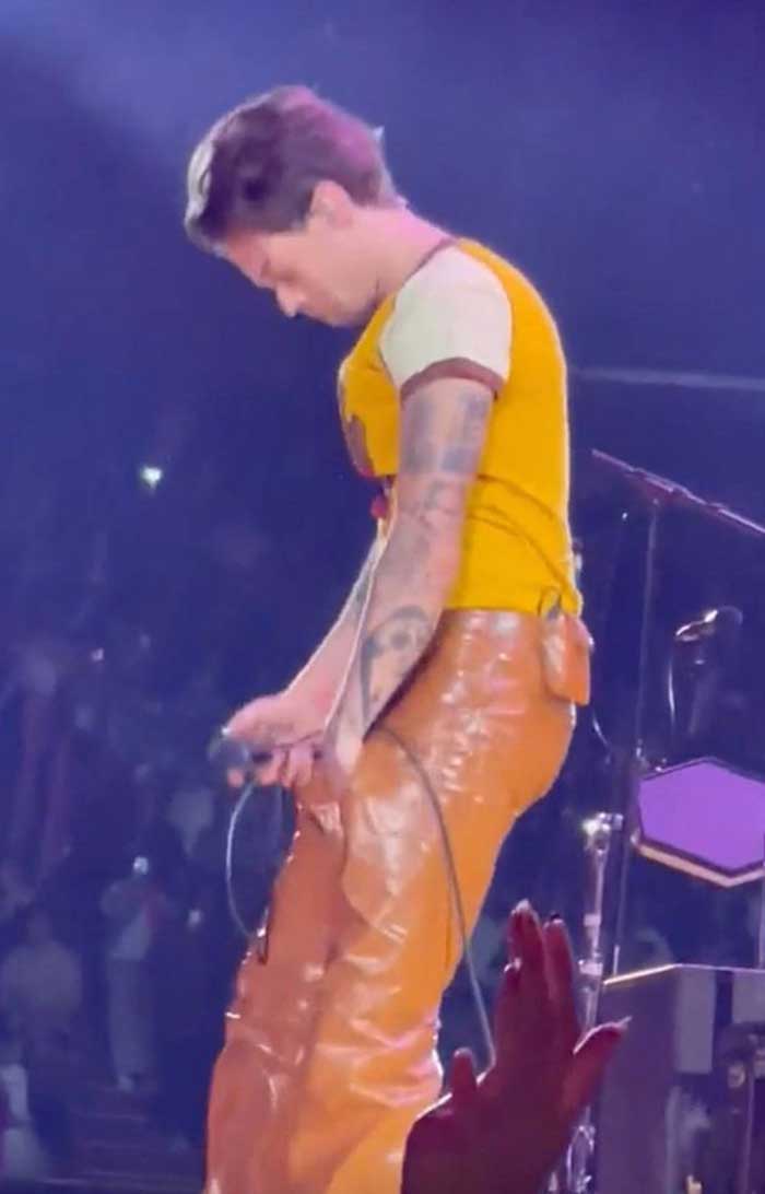 0_PAY-Harry-Styles-suffers-on-stage-wardrobe-malfunction-as-trousers-rip-at-crotch