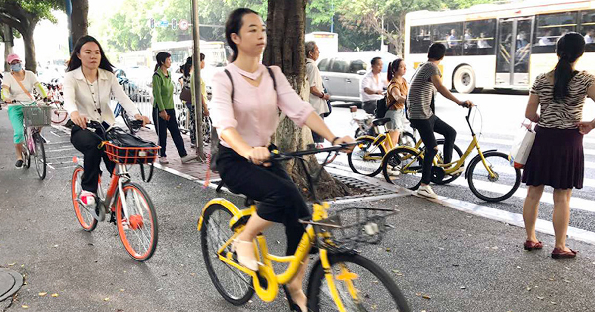 Cô Vương đạp xe đi dạy mỗi ngày vì cảm thấy phương tiện này rất tiện dụng