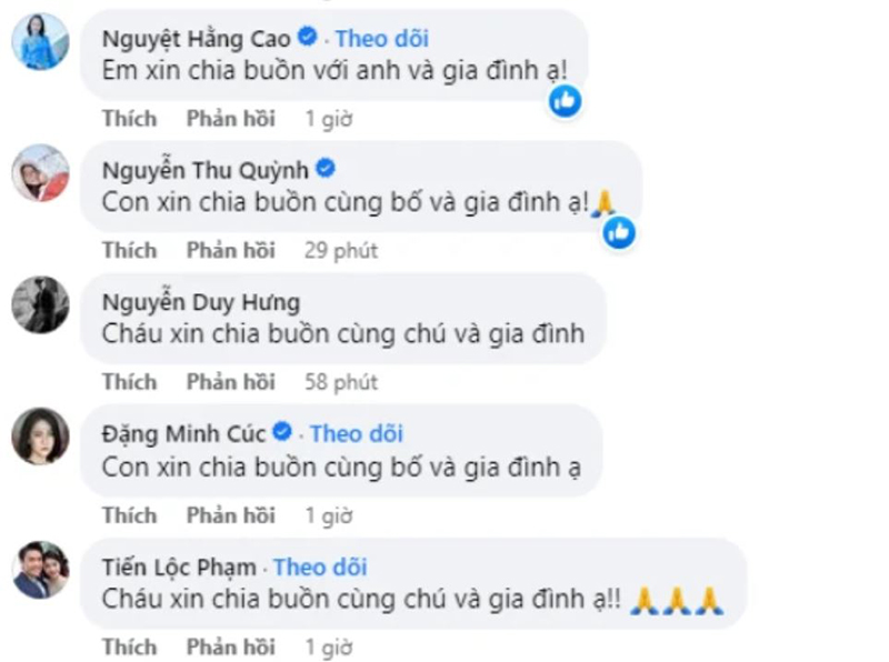 NSND Trung Anh của 'Về nhà đi con' báo tin tang sự, nhiều sao Việt gửi lời chia buồn - ảnh 3