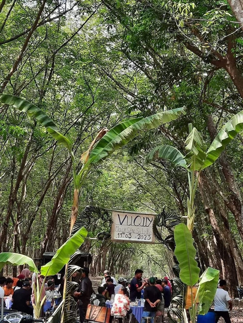 Đám cưới lạ đời ở Việt Nam: Chỉ dựng rạp chuối đơn sơ giữa rừng làm ai cũng ước mong - ảnh 3