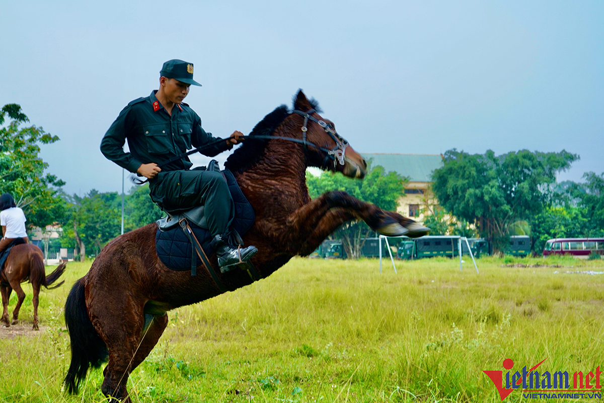 Ngựa được luyện tập những động tác khó như tung vó, phi lên cao, vượt chướng ngại vật... (Ảnh: Vietnamnet)