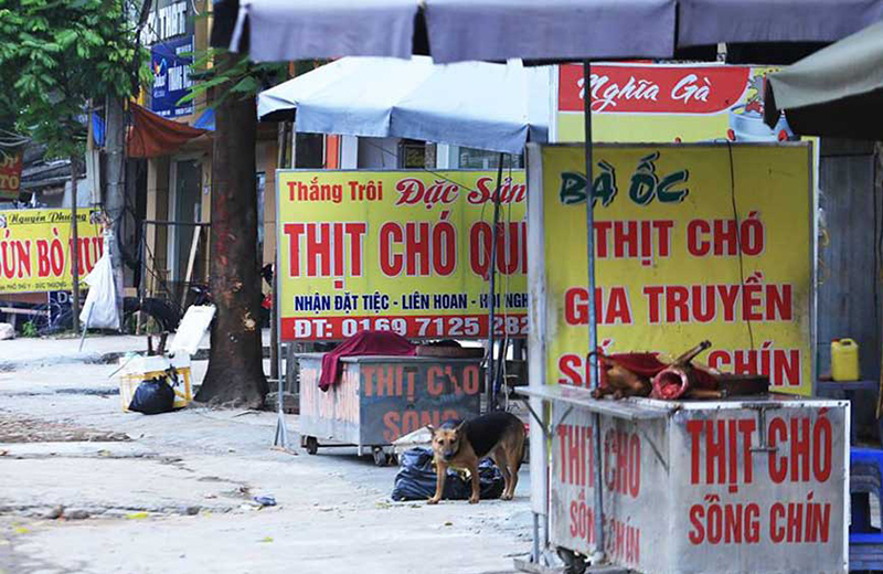 Nhiều sạp hàng bán thịt chó mọc lên khắp các lề đường phố ở Việt Nam