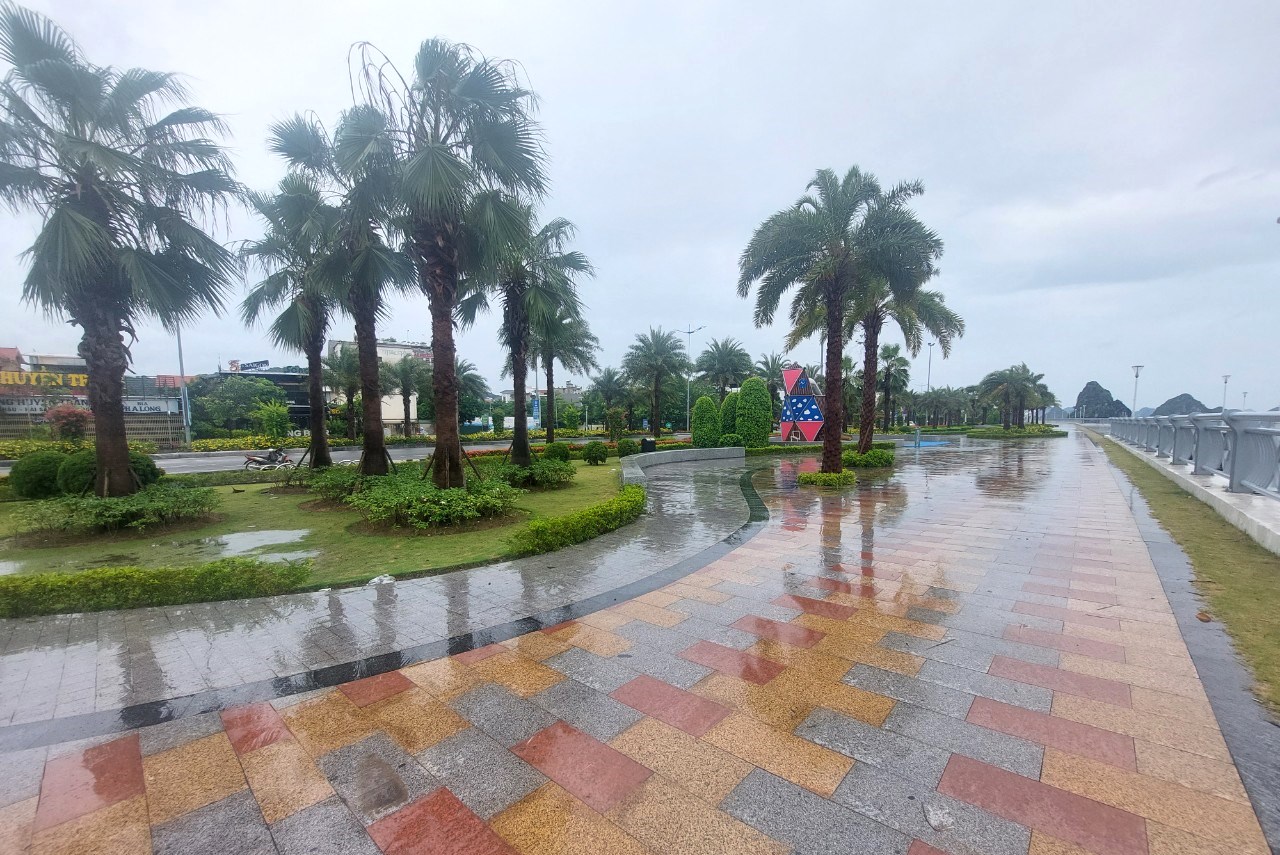 Nhiều nơi ở Quảng Ninh, Hải Phòng chỉ ghi nhận mưa vừa