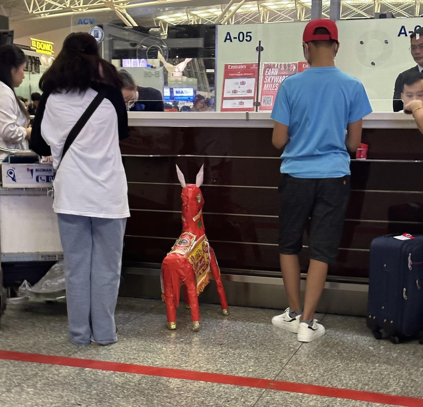 Con ngựa vàng mã được một vị khách nước ngoài mang ra sân bay