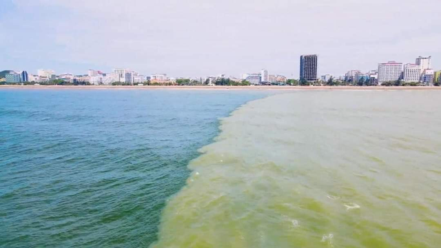 Bãi biển Sầm Sơn có 2 màu nước
