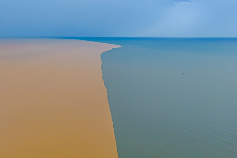 Việt Nam có một nơi nước biển chia 2 màu, bên xanh lam bên vàng đục là vì sao? - ảnh 4