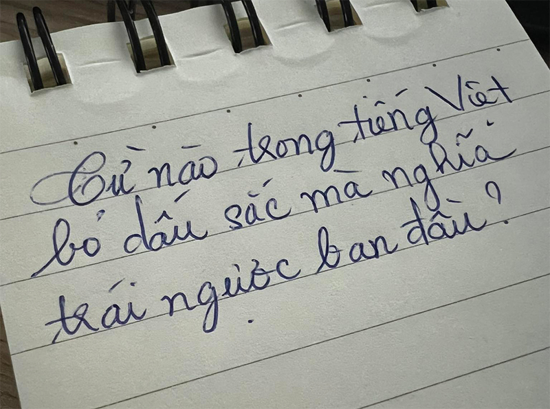 Câu đố tiếng Việt 'từ nào bỏ dấu sắc mà nghĩa trái ngược ban đầu' khiến nhiều người bó tay