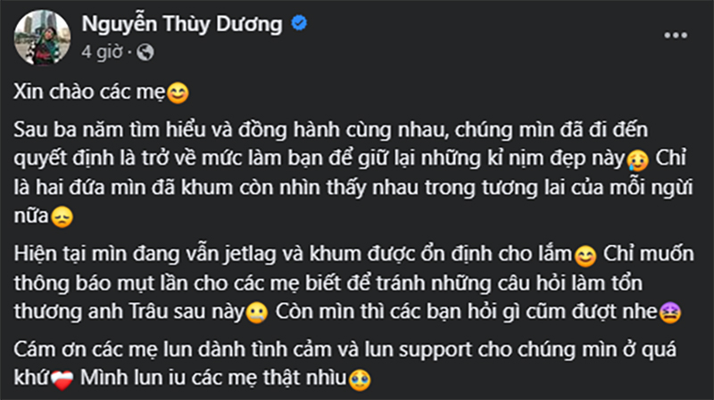 Sau 3 năm hẹn hò, TyD Thùy Dương và bạn trai Michael Trương thông báo chia tay - ảnh 1