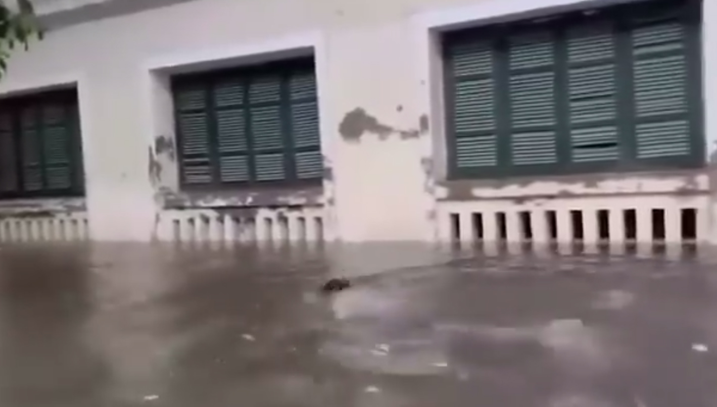 Nam sinh bơi lội giữa trường khi mực nước lên cao
