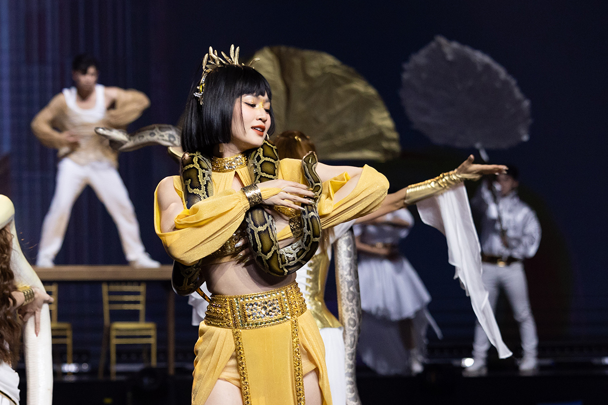 Trước đó, team của Ninh Dương Lan Ngọc còn mang những con trăn khổng lồ lên sân khấu
