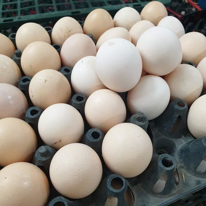 Trứng gà cũng được nhiều người sử dụng vào dịp đầu năm