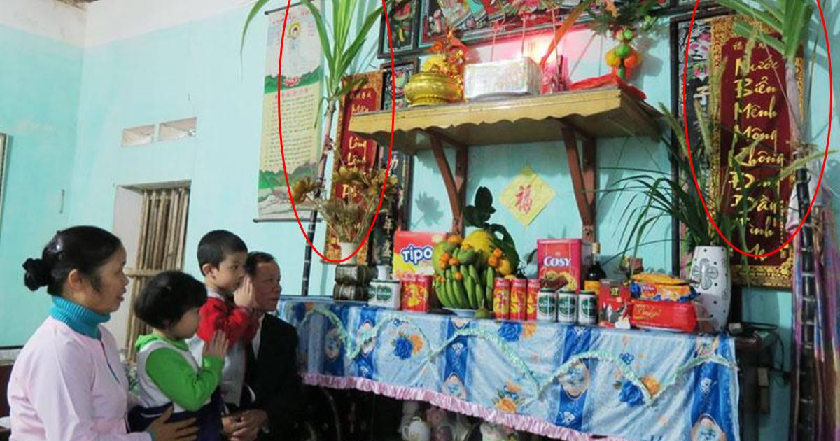 Hai cây mía được các gia đình Việt mua để trong nhà vào ngày Tết