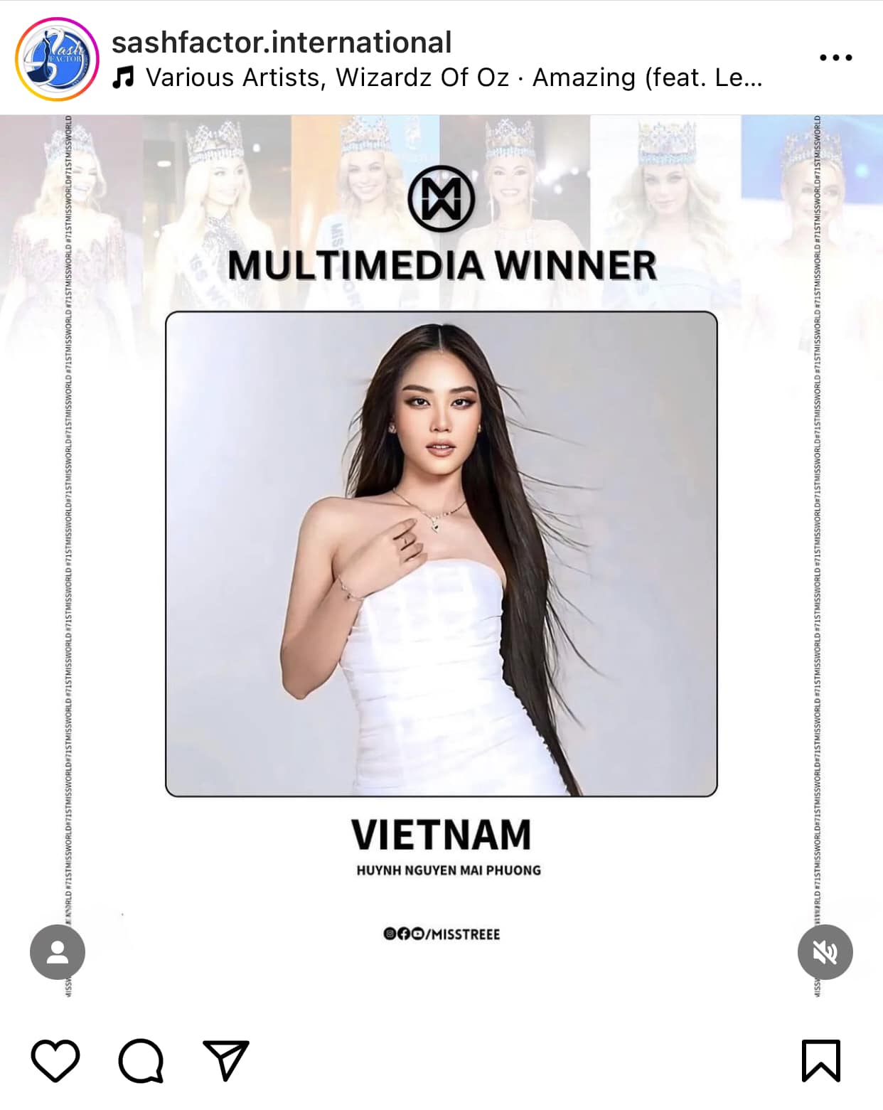Các tài khoản theo dõi hoa hậu đều đưa tin về chiến thắng của đại diện Việt Nam