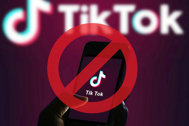 Nhiều video trên Tiktok bị 'đánh gậy' bắt buộc phải gỡ xuống