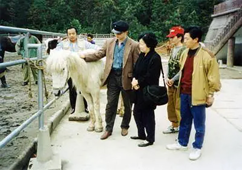 Dương Khiết đến thăm Bạch Long Mã sau khi gửi chú ngựa trắng đến phim trường ở Giang Tô