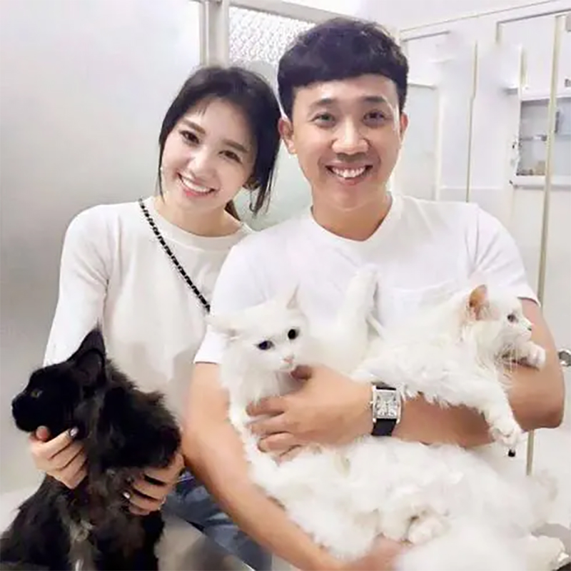 Hari Won và Trấn Thành từng rất buồn vì chú mèo cưng qua đời sau 1 tai nạn không mong muốn