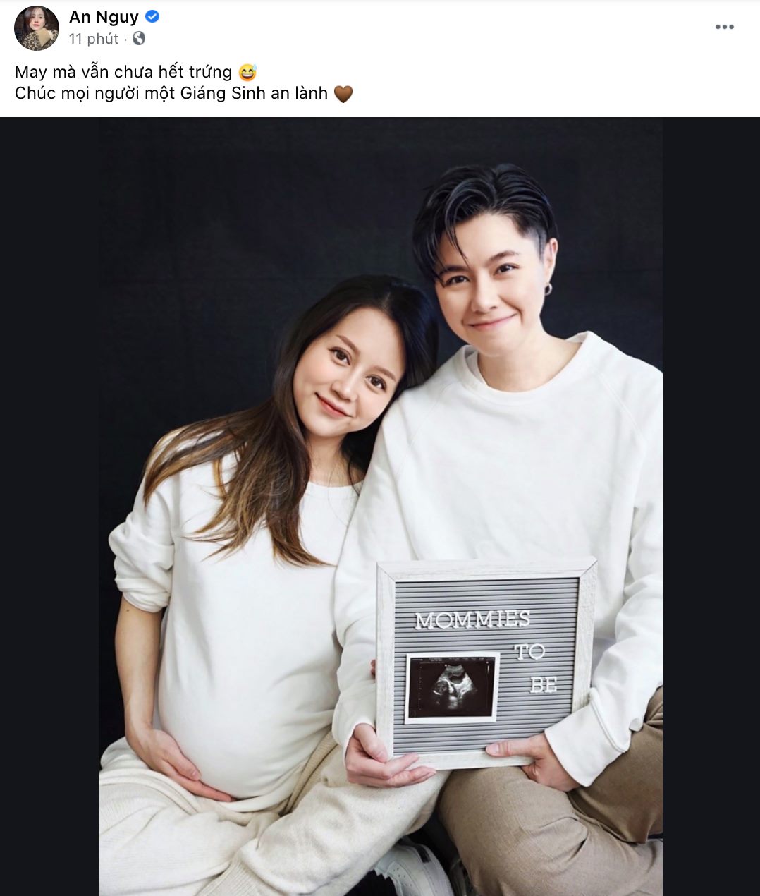 An Nguy và Alex Nguyễn công khai có con vào năm 2020