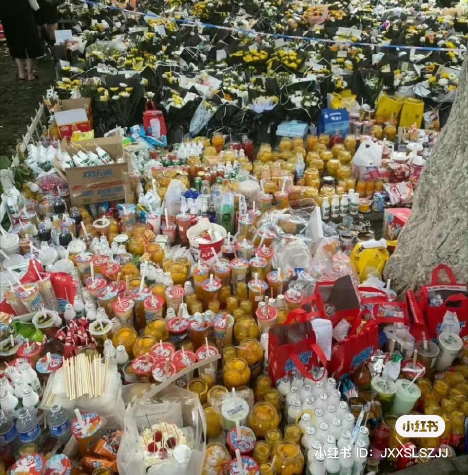 Nhiều netizen mua thức ăn, hoa tươi đến tưởng niệm Mèo Béo