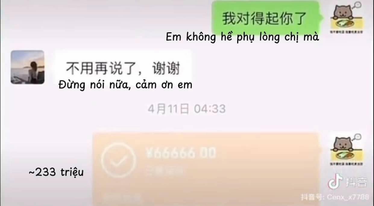 Chi tiết đáng ngờ trong vụ Mèo Béo khiến netizen Trung nghi vấn - ảnh 10