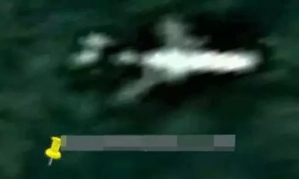 Hình ảnh được chụp từ định vị của vệ tinh cho thấy một vật thể không xác định có hình dạng giống chiếc máy bay