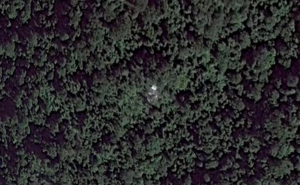 Báo Anh đưa tin tìm thấy máy bay MH370 trong khu rừng già tại Campuchia? - ảnh 3