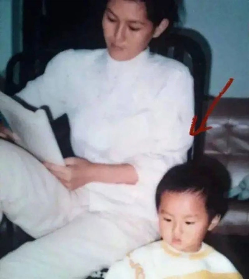 Sau khi bố mẹ ly hôn, Ngô Diệc Phàm được mẹ một mình nuôi lớn