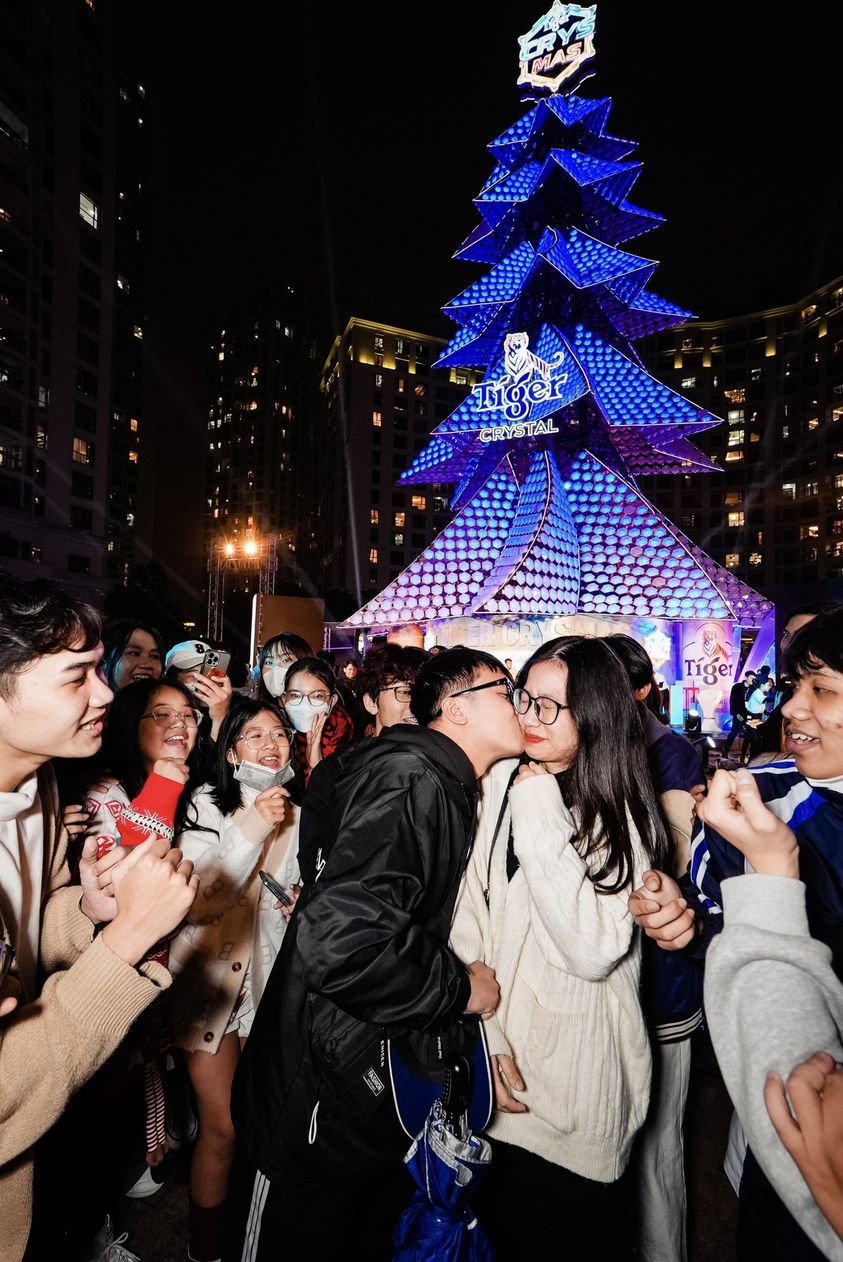 Giải mã cây thông pha lê khổng lồ Tiger Crysmas - địa điểm check-in đang rần rần Hà Nội & Đà Lạt mùa Giáng Sinh - ảnh 4