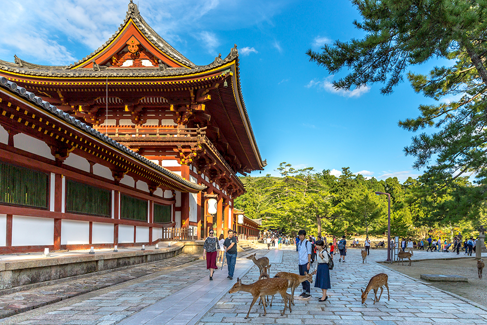Những địa điểm du lịch Nhật Bản đẹp ngất ngây - ảnh 8