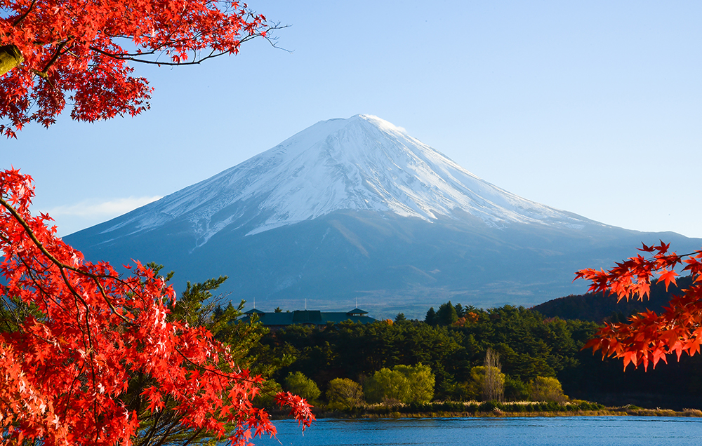 Những địa điểm du lịch Nhật Bản đẹp ngất ngây - ảnh 1