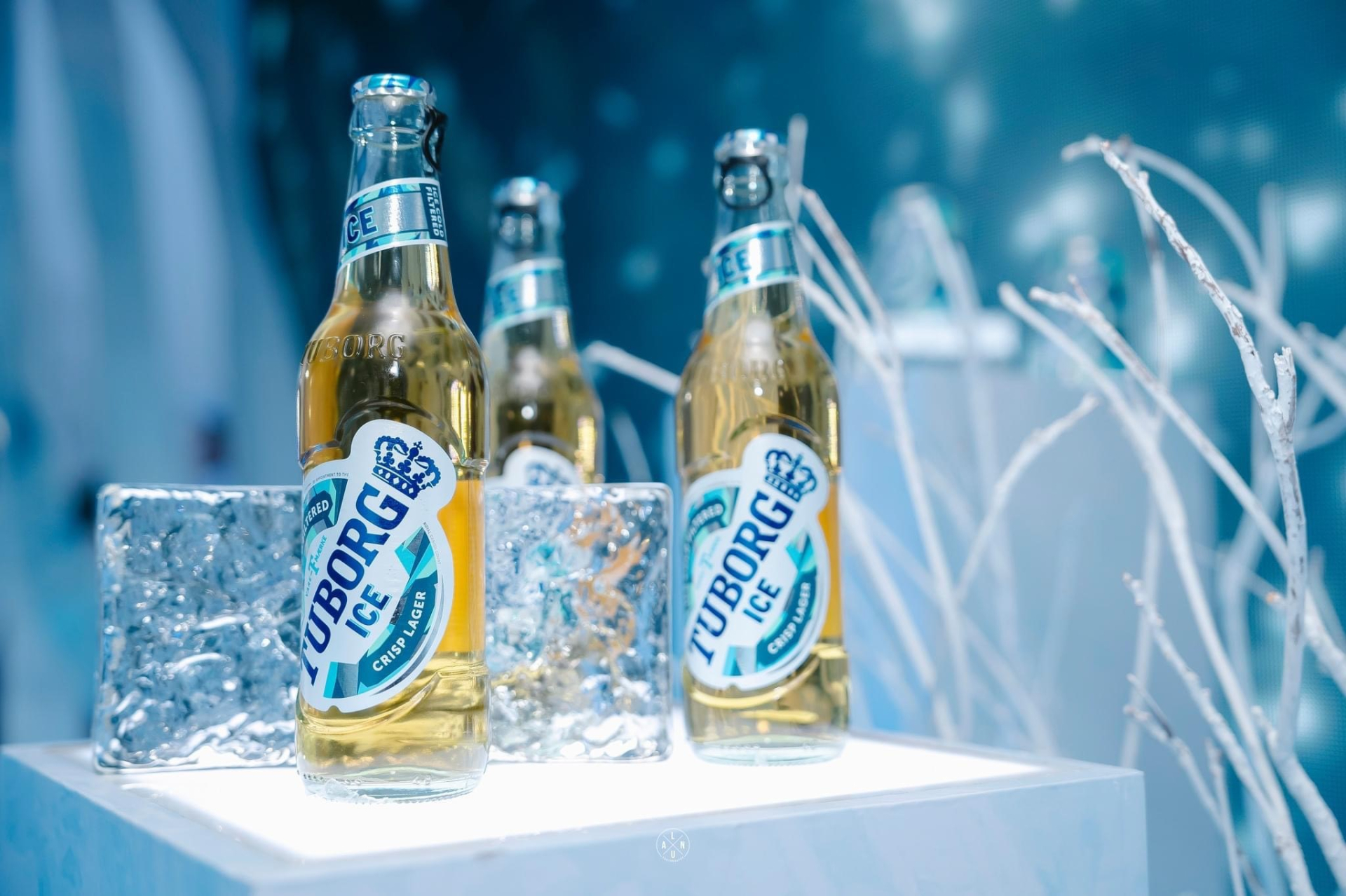 Phá băng mùa hè cùng Tuborg Ice tại Water Run 2023 - ảnh 3