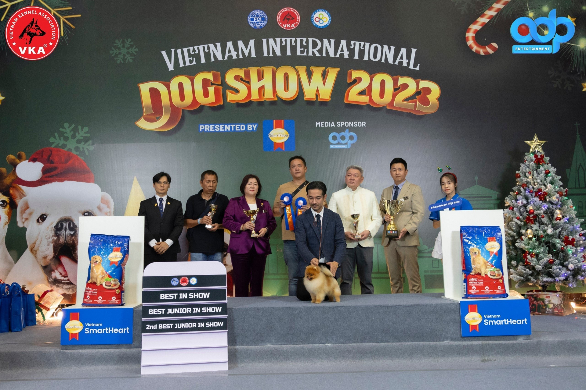 Cuộc thi trình diễn chó giống Quốc tế 2023 - 'Vietnam International Championship Dog Show 2023' quy tụ nhiều giống chó quý - ảnh 5