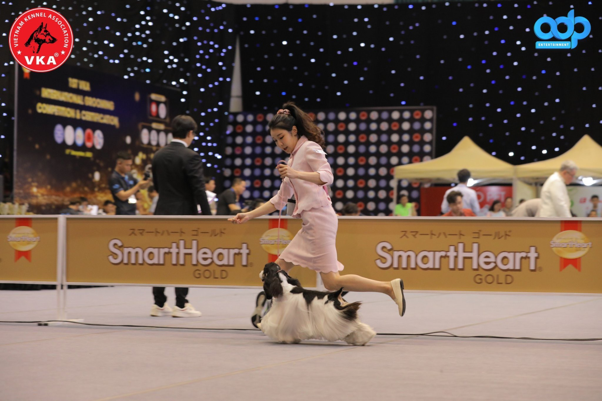 Cuộc thi trình diễn chó giống Quốc tế 2023 - 'Vietnam International Championship Dog Show 2023' quy tụ nhiều giống chó quý - ảnh 6