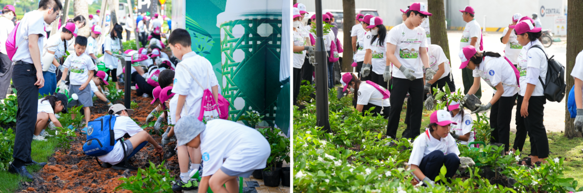 AEON kiến tạo hành trình xanh thông qua hoạt động giáo dục - ảnh 2