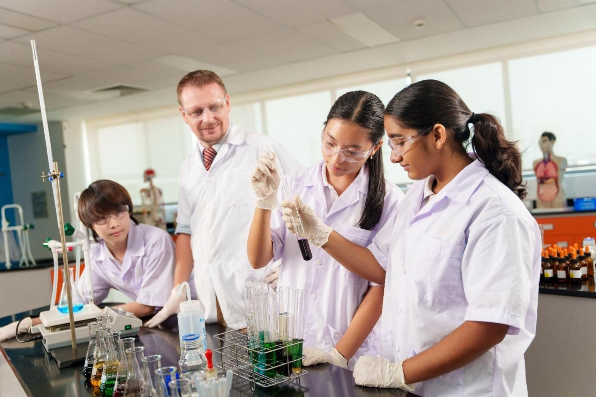 Trường Quốc tế Châu Âu TP.HCM chính thức đạt kiểm định quốc tế WASC - ảnh 2