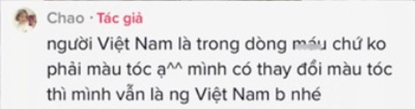 Bị chỉ trích vì mặc áo dài khi nhuộm tóc khói, 'vợ quốc dân' Chao: 'Đổi màu tóc thì mình vẫn là người Việt Nam' - ảnh 5
