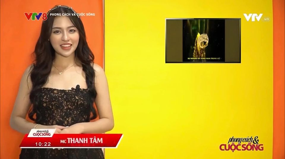 Hotgirl 'trứng rán' Trần Thanh Tâm khoe ảnh làm MC cho VTV, CĐM 'la ó': 'VTV hết MC rồi à?' - ảnh 2