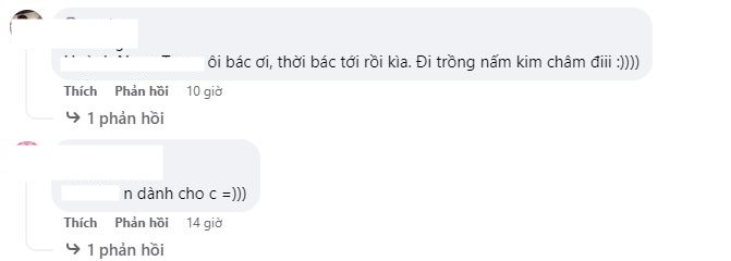 Netizen bàn tán sôi nổi về cuộc thi này.