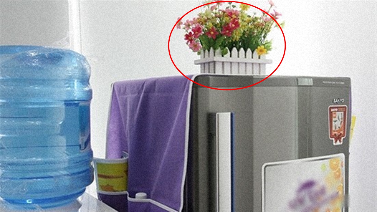 Để bình hoa trên nóc tủ lạnh không tốt như nhiều người vẫn nghĩ.