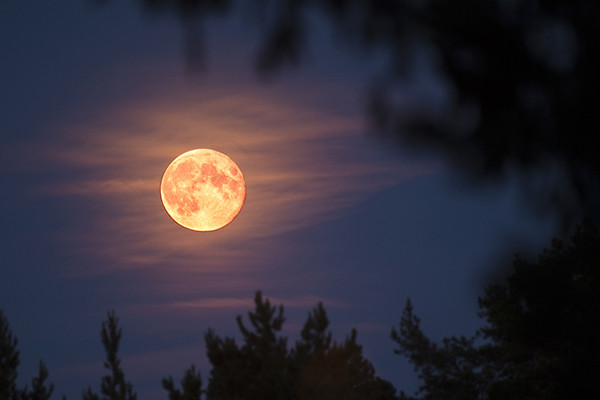 Mặt trăng trong ngày trung thu luôn mang ý nghĩa đặc biệt
