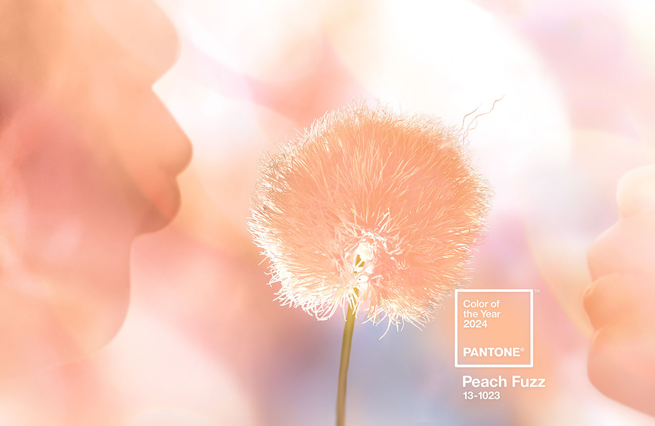 PANTONE 13-1023 “Peach Fuzz” là màu sắc của năm 2024.